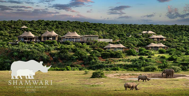 Shamwari Private Game Reserve